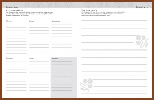 Daysteps-Lifestyle-Clear-Head