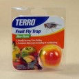 Fruitfly