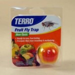 Fruitfly
