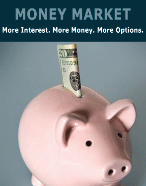 money_market funds money_market funds