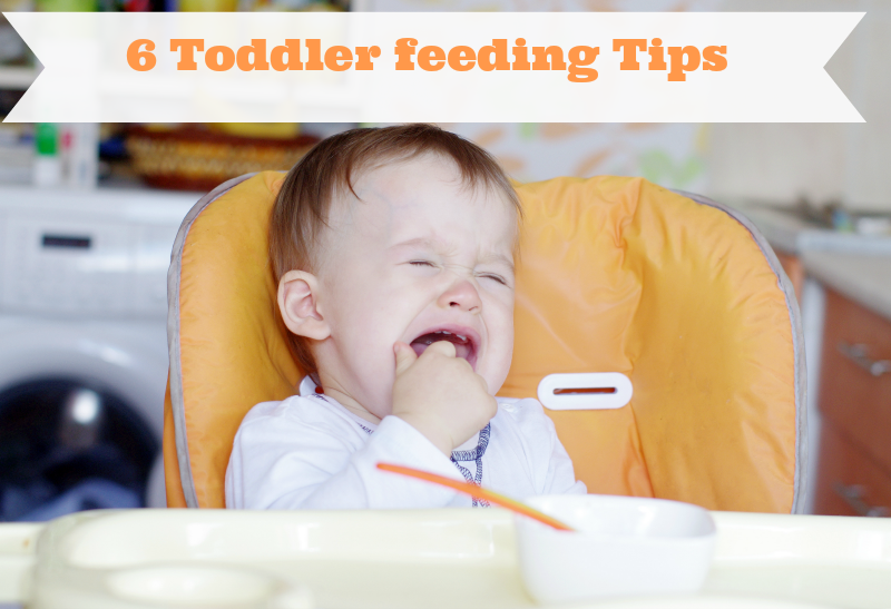 toddler feeding Tips