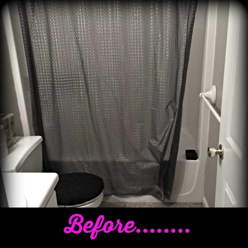 Bathroom Before