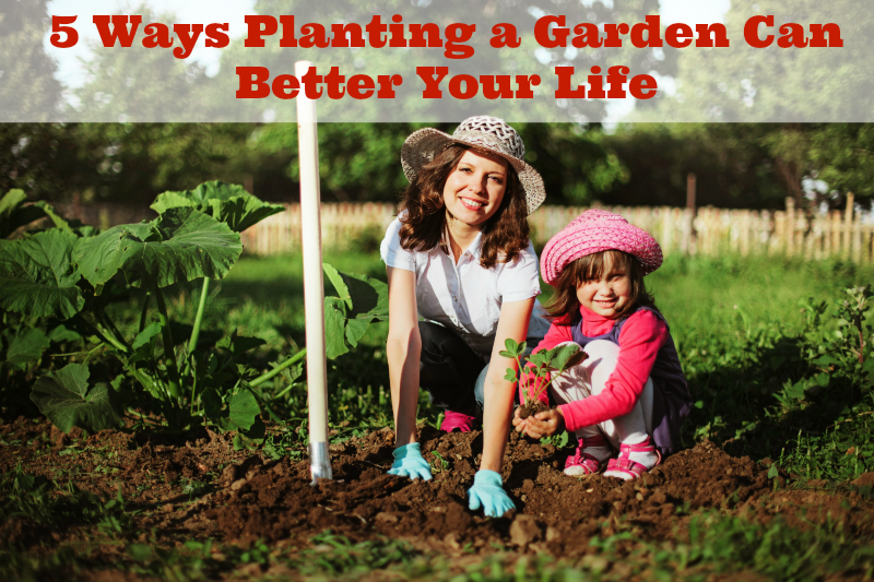 5 Ways Planting a Garden Can Better Your Life